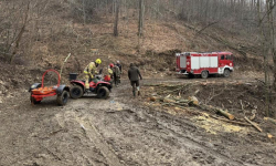 Wypadek podczas prac leśnych w Żdanowie. 35-latek śmigłowcem przetransportowany do szpitala