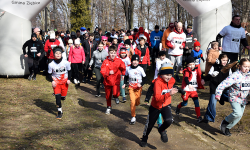 Bieg Tropem Wilczym w Ziębicach [foto]