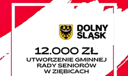 W Ziębicach powstanie Gminna Rada Seniorów