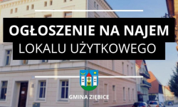 Gmina Ziębice ogłasza przetargi na najem lokali użytkowych