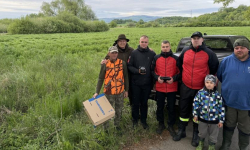 Akcja ochrony koźlaków przed rozpoczęciem sianokosów w Kamieńcu Ząbkowickim