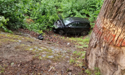 Samochód osobowy wypadł z drogi i uderzył w drzewo [foto]