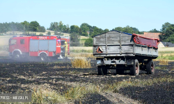 Pożar ścierniska w Sosnowej. Interweniowało kilka zastępów straży pożarnej [foto]