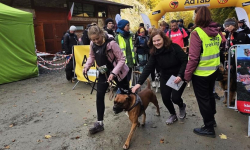 Finał Pucharu Polski w Dogtrekkingu ponownie w Złotym Stoku i Górach Złotych. Znamy wyniki 