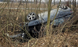 Dachowanie w Henrykowie