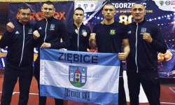 Bokserzy z Jaskini Lwa z sukcesami na mistrzostwach Dolnego Śląska