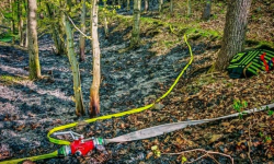 Pożar w Bardzie. Ogień strawił blisko hektar lasu [foto] [aktualizacja]