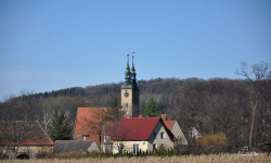 Koncert organowy w Stolcu 