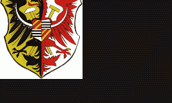 Nowa przewodnicząca i jeszcze raz wybory