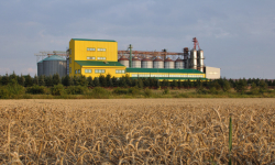 Gorący okres na wsi - żniwa na półmetku