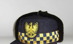 Z biuletynu Straży Miejskiej w Kłodzku