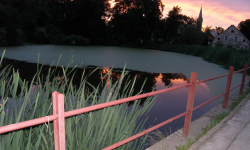 Znaleziono zwłoki mieszkańca Tarnowa 