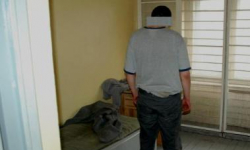 Dewastatorzy z Kłodzka w rękach policji