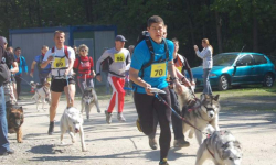 Mistrzostwa Polski w Dogtrekingu