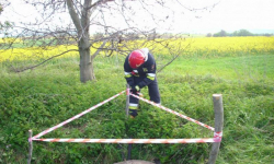 Strażacy ratują nie tylko ludzi, ale i zwierzęta