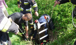 Strażacy uratowali ... przyjaciela człowieka   