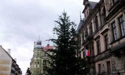 Ozdabiają kłodzki rynek [foto]