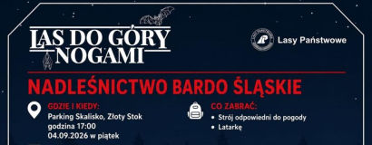 Wieczorny spacer z leśnikiem. W planie obserwacja nietoperzy
