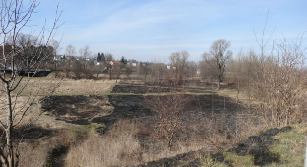 Strażacy apelują o niewypalanie traw