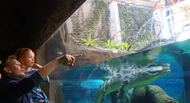 Sebastian Mila we wrocławskim zoo
