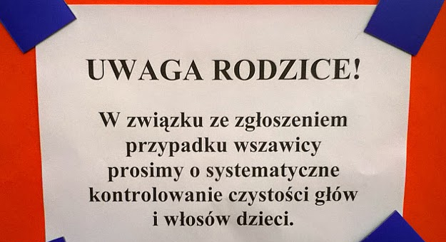 [zdjęcie ilustracyjne]