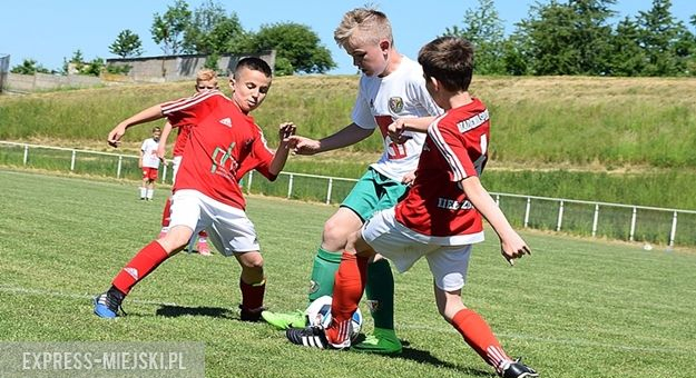 zdjęcie ilustracyjne