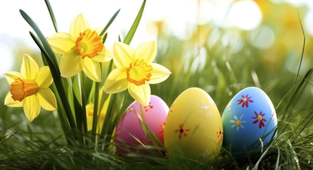 grafika ilustracyjna