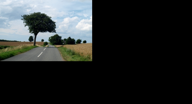 Konkurs fotograficzny